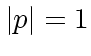 $\vert p\vert = 1$